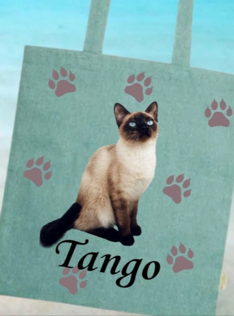 Z2- TOTE BAG GATOS - Imagen 2