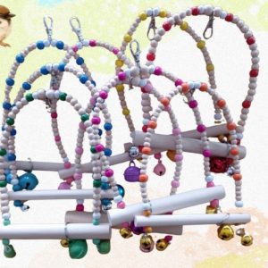 Z3- CCOLUMPIOS PAJAROS