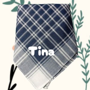 F14- PAÑUELO FALLAS PERSONALIZADO