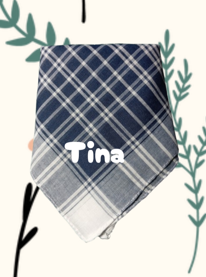 F14- PAÑUELO FALLAS PERSONALIZADO