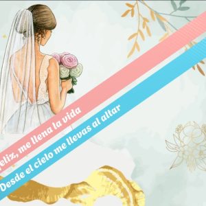 D4- CINTA RAMO NOVIA