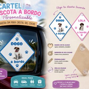 Z 8 CARTEL MASCOTA A BORDO